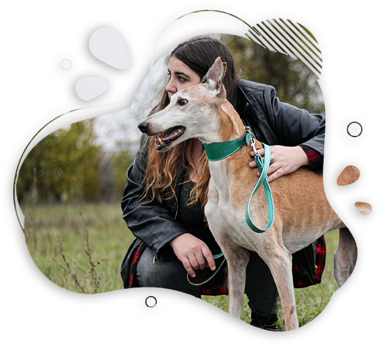 Pawfectly Design & Web alapítója és kutyája