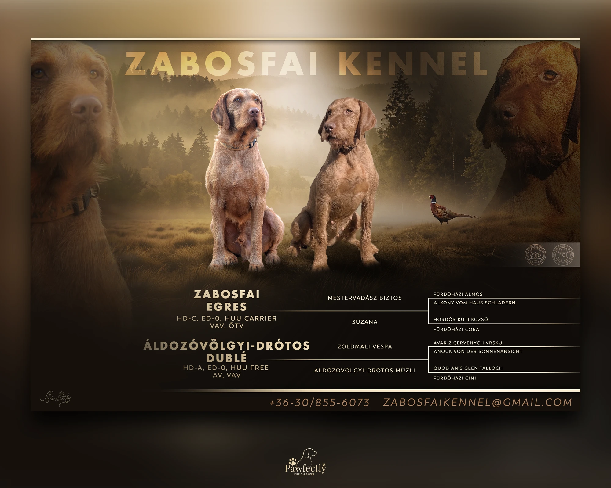 Breeder - Litter advert