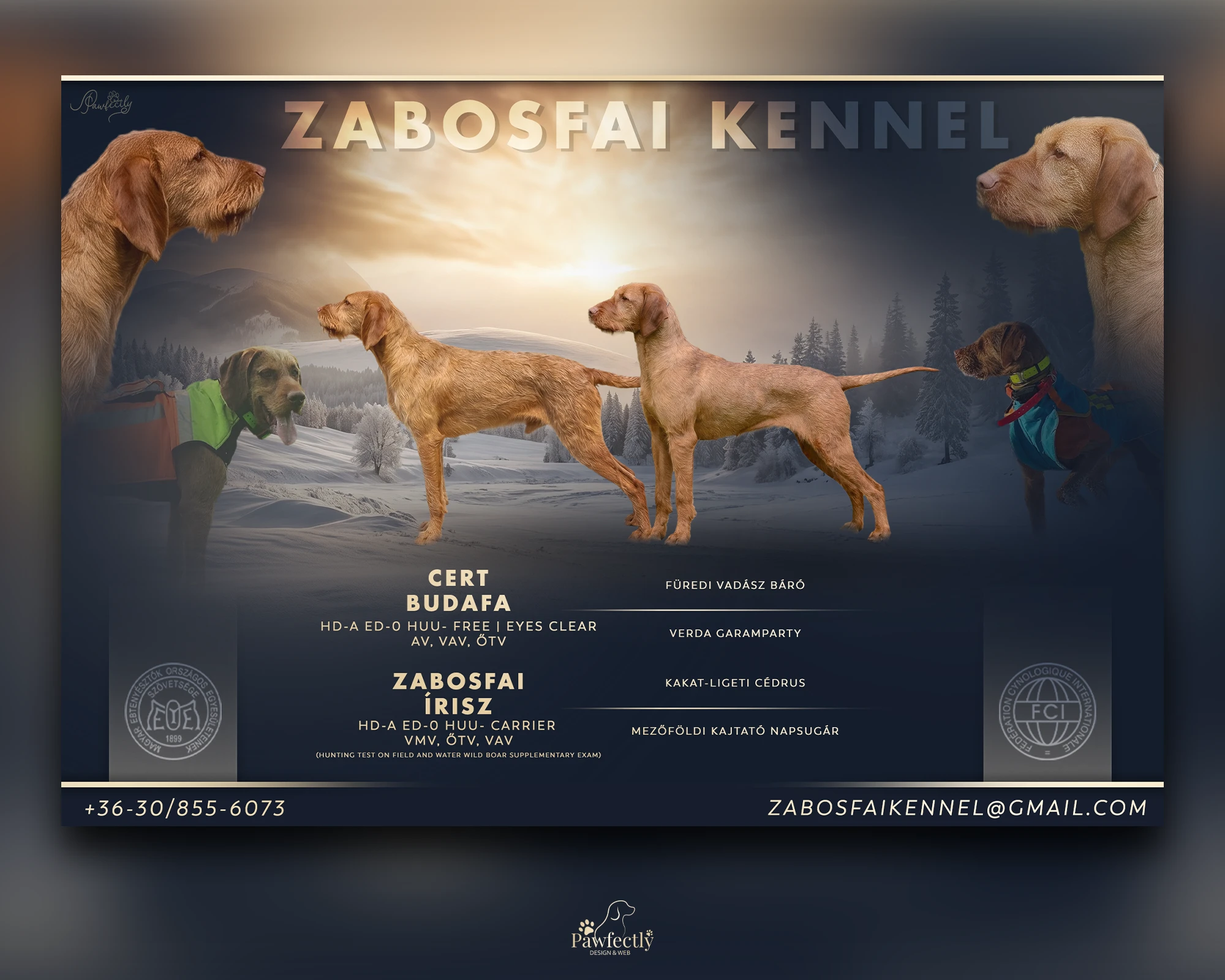 Breeder - Litter advert