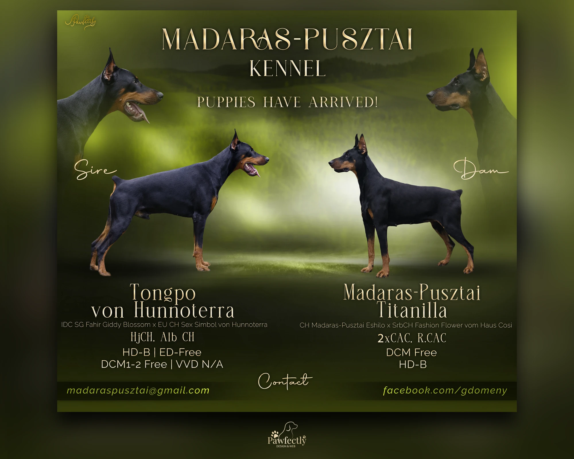 Breeder - Litter advert
