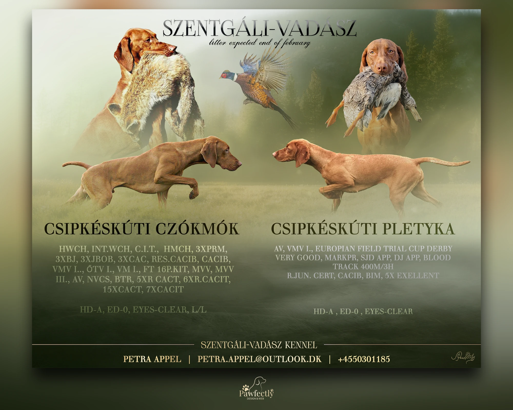 Breeder - Litter advert