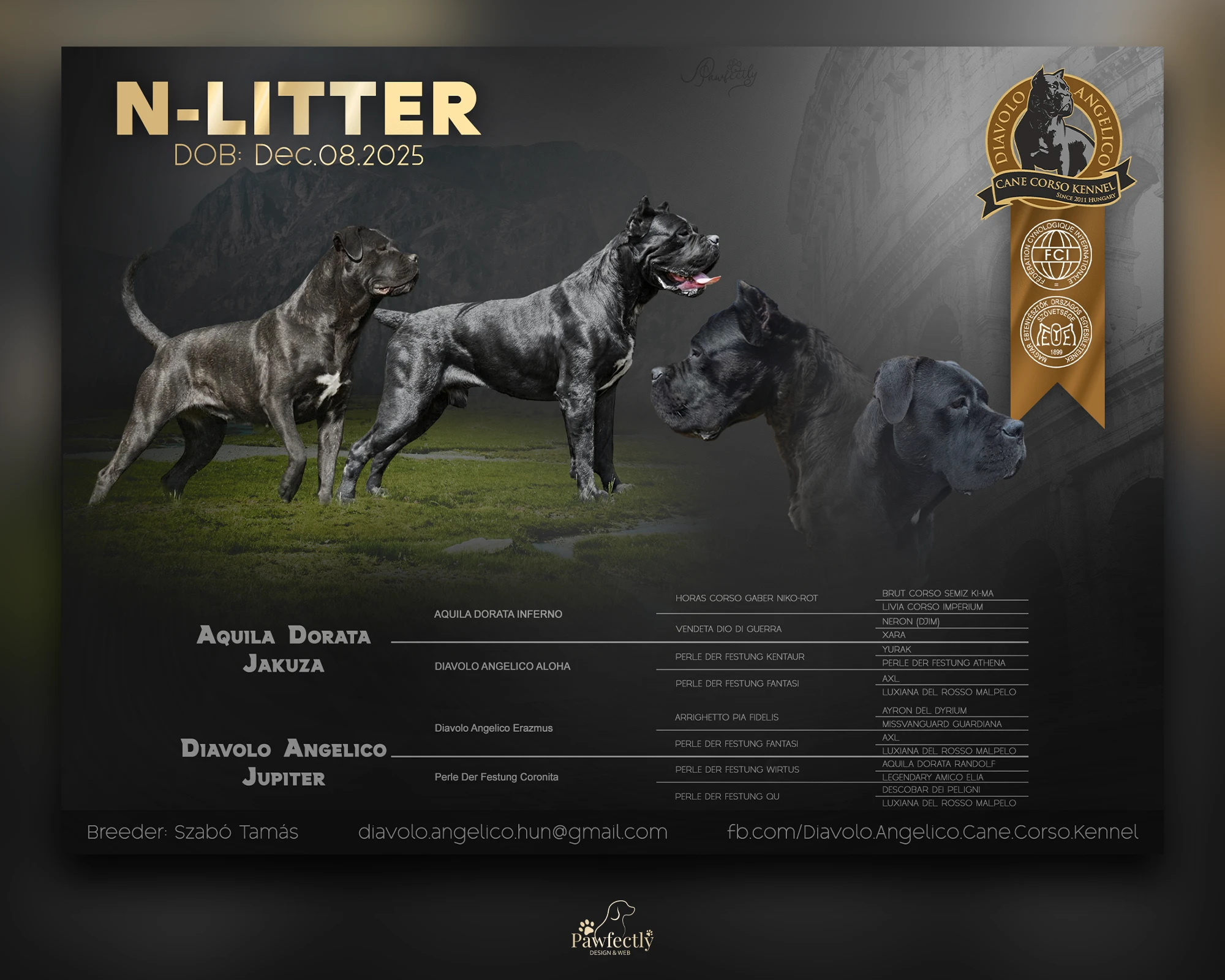 Breeder - Litter advert