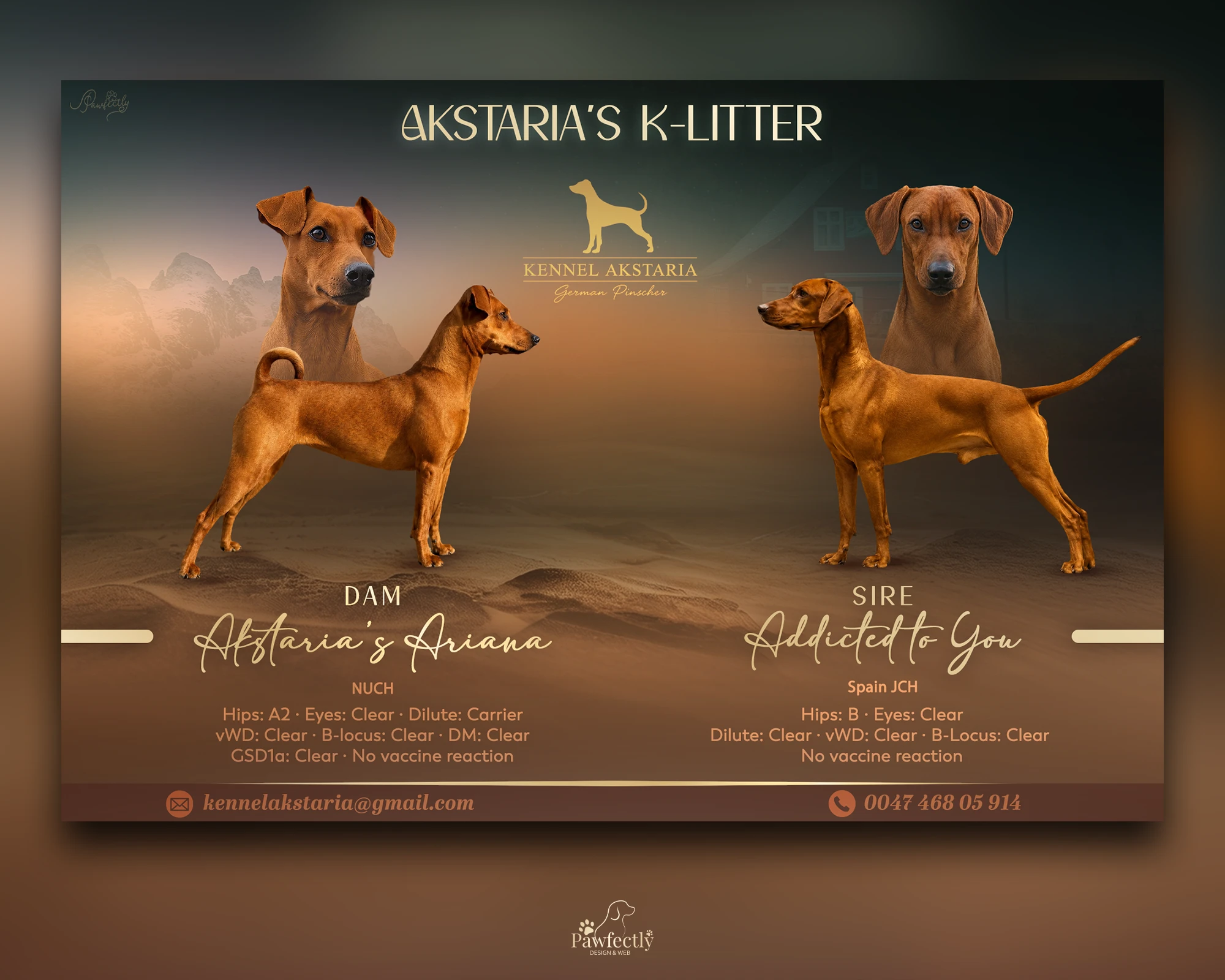 Breeder - Litter advert