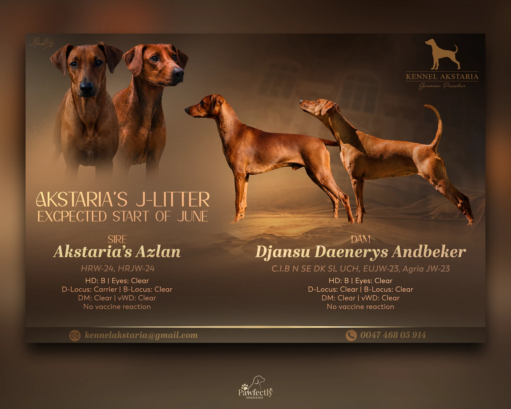 Breeder - Litter advert