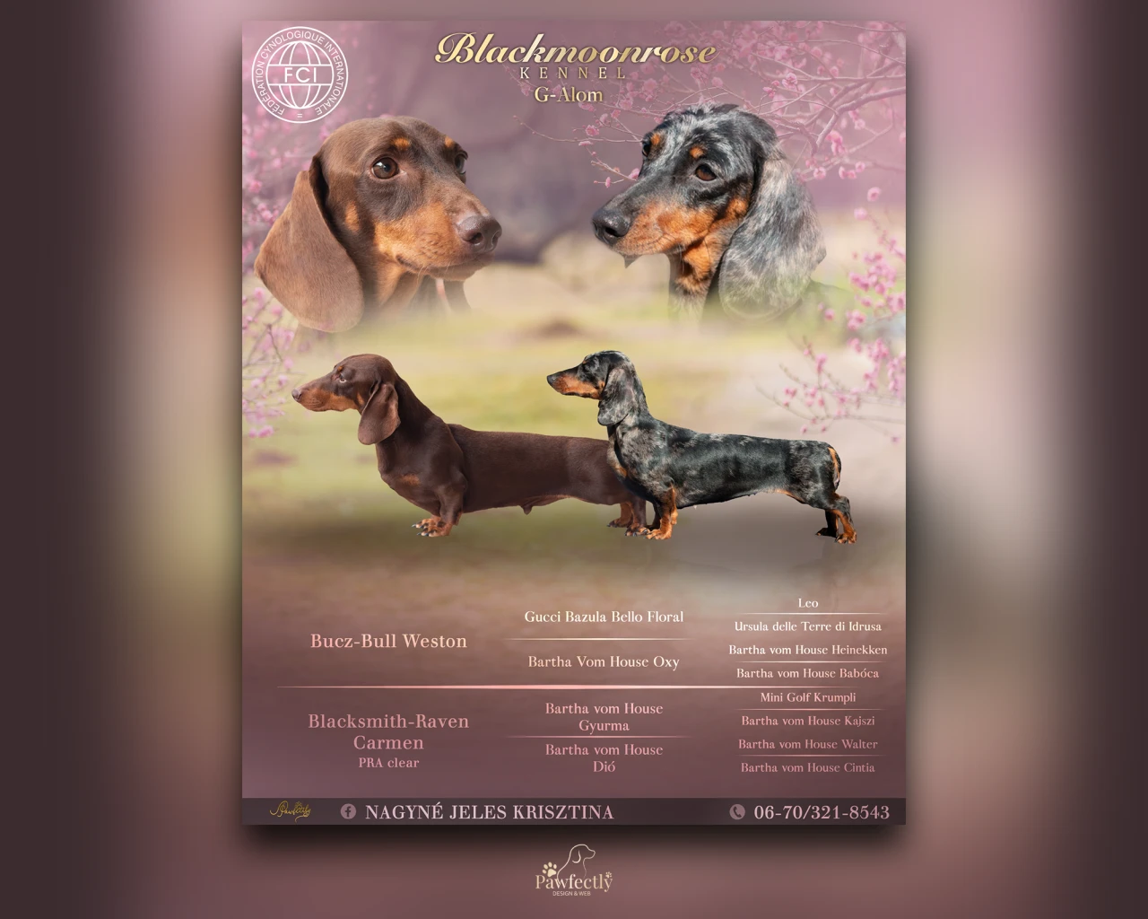 Breeder - Litter advert