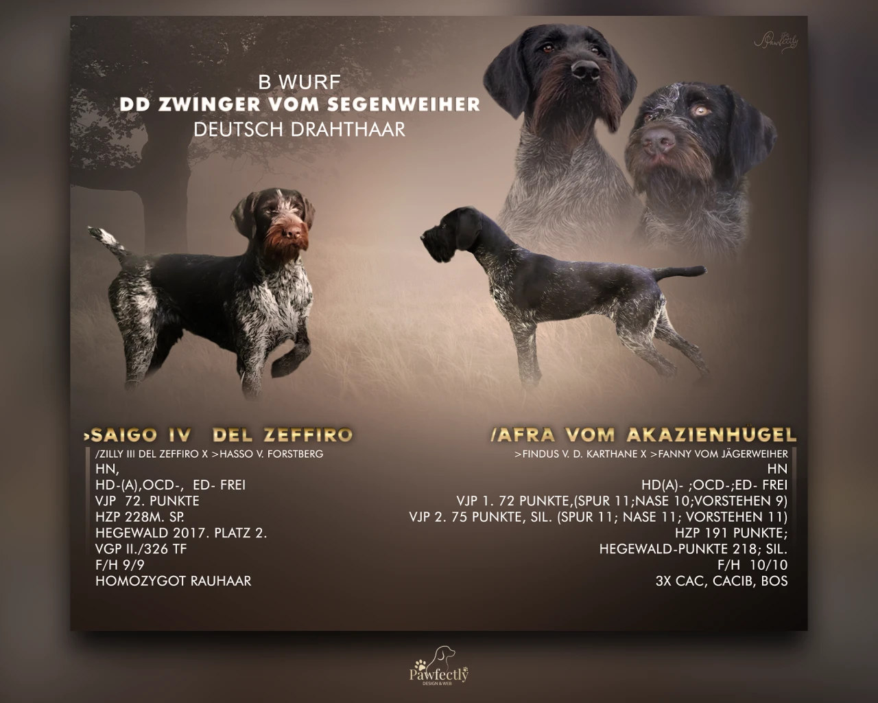 Breeder - Litter advert