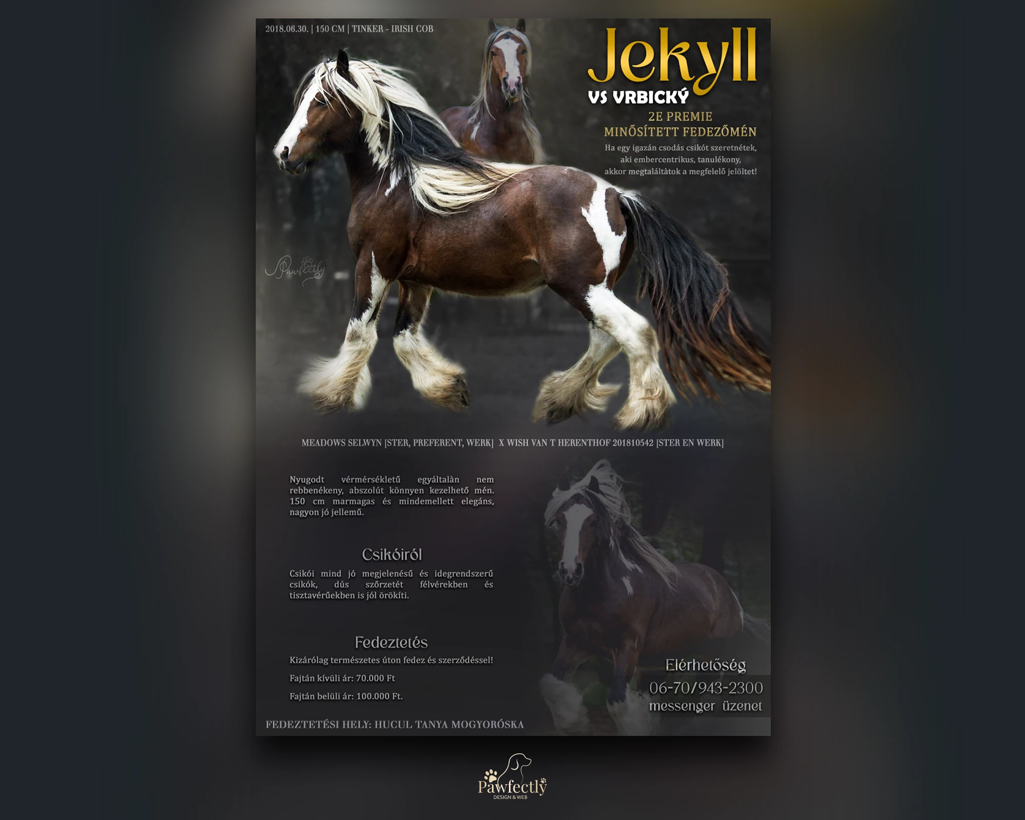 Horse Breeder - Stud advert