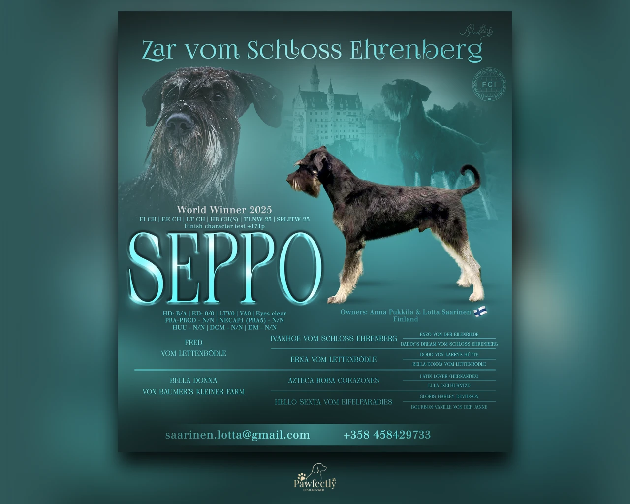 Dog Breeder - Stud Dog advert | Zar vom Schloss Ehrenberg | Riesenschnauzer